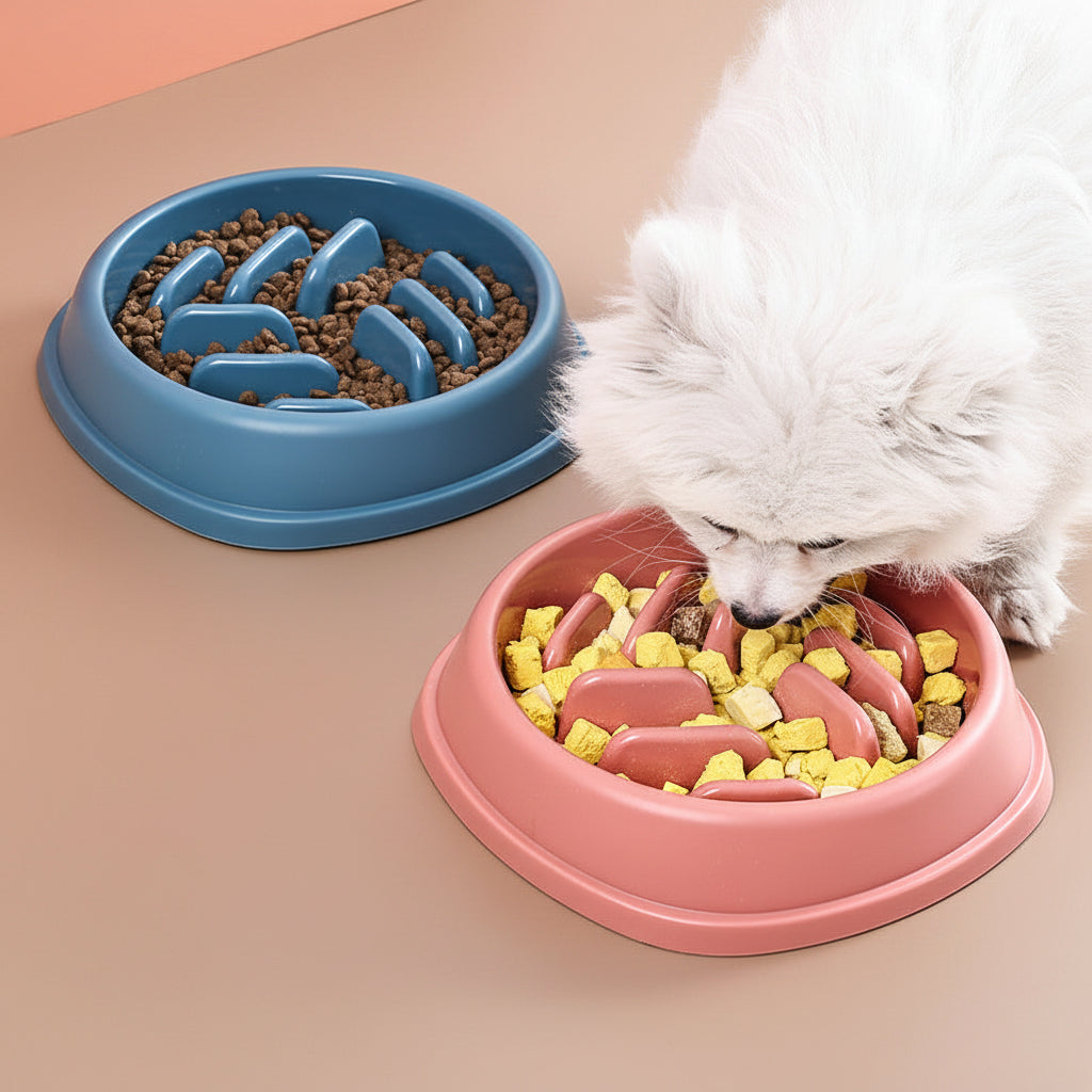 Ciotola per alimentazione cani