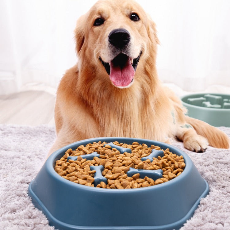 Ciotola per alimentazione cani